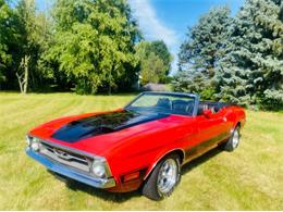 1973 Ford Mustang (CC-1889930) for sale in Cadillac, Michigan