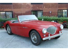 1955 Austin-Healey 100-4 (CC-1890110) for sale in Astoria, New York