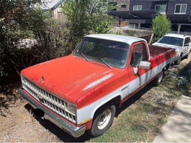 1982 Chevrolet C10 (CC-1891392) for sale in Cadillac, Michigan