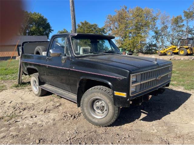 1982 Chevrolet Blazer (CC-1891395) for sale in Cadillac, Michigan