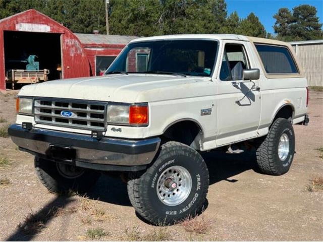 1988 Ford Bronco (CC-1891415) for sale in Cadillac, Michigan