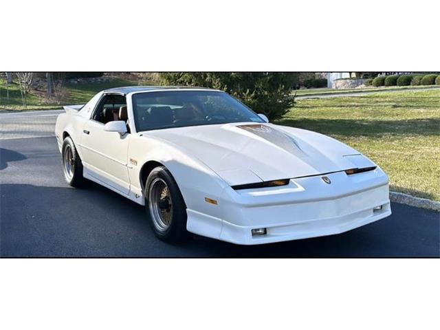 1989 Pontiac Firebird Trans Am (CC-1891735) for sale in Cadillac, Michigan