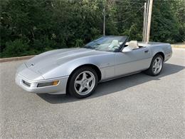 1996 Chevrolet Corvette (CC-1890190) for sale in Manheim, Pennsylvania