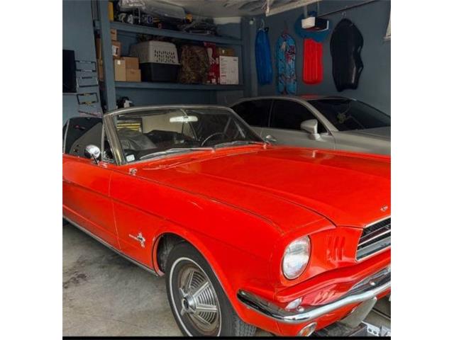 1964 Ford Mustang (CC-1892001) for sale in Cadillac, Michigan