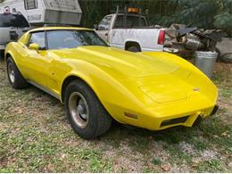 1977 Chevrolet Corvette (CC-1892028) for sale in Cadillac, Michigan