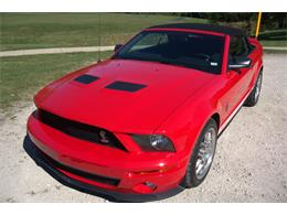 2007 Shelby GT500 (CC-1892085) for sale in Downers Grove, Illinois