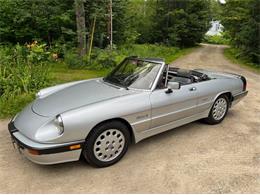 1990 Alfa Romeo Spider (CC-1892216) for sale in Cadillac, Michigan