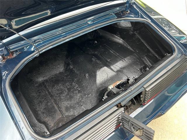1981 Pontiac Firebird (CC-1892243) for sale in Bradington, Florida