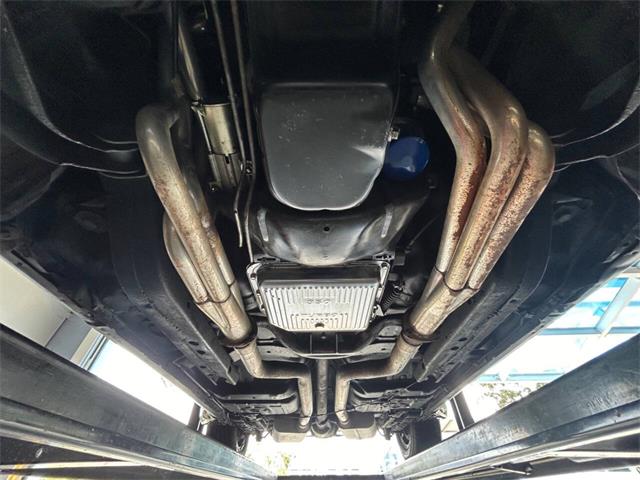 1981 Pontiac Firebird (CC-1892243) for sale in Bradington, Florida