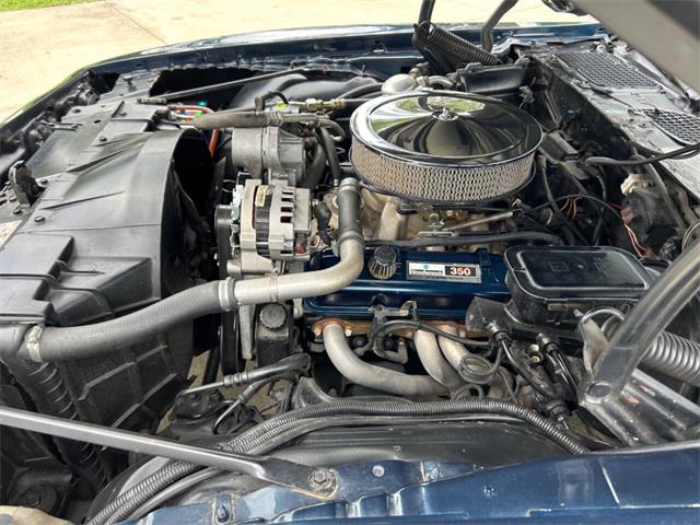 1981 Pontiac Firebird (CC-1892243) for sale in Bradington, Florida