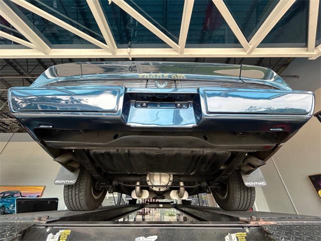 1981 Pontiac Firebird (CC-1892243) for sale in Bradington, Florida