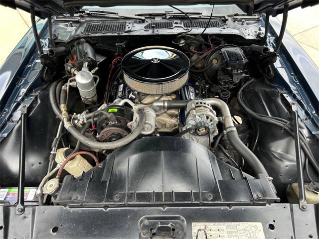 1981 Pontiac Firebird (CC-1892243) for sale in Bradington, Florida