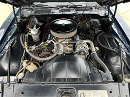 1981 Pontiac Firebird (CC-1892243) for sale in Bradington, Florida