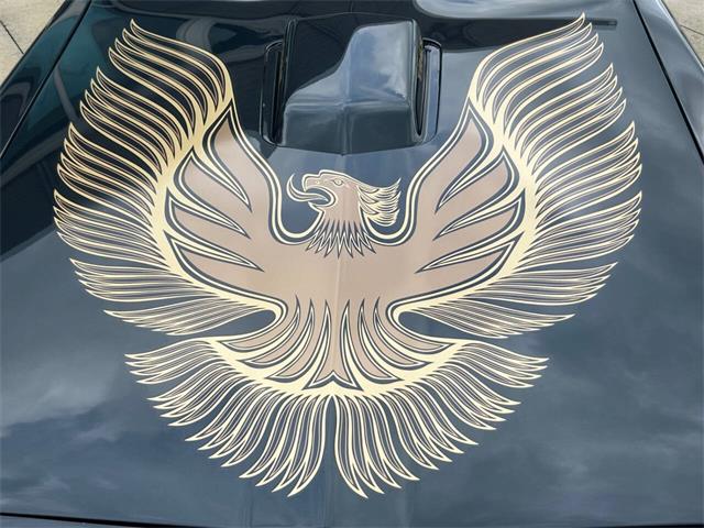 1981 Pontiac Firebird (CC-1892243) for sale in Bradington, Florida
