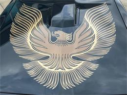 1981 Pontiac Firebird (CC-1892243) for sale in Bradington, Florida