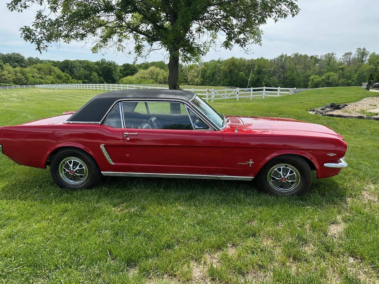 1964 Ford Mustang for Sale CC1892322