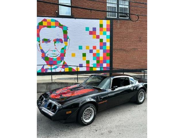 1979 Pontiac Firebird Trans Am (CC-1890264) for sale in Cadillac, Michigan