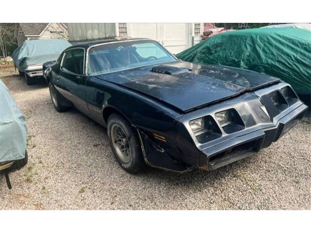 1979 Pontiac Firebird Trans Am (CC-1890265) for sale in Cadillac, Michigan