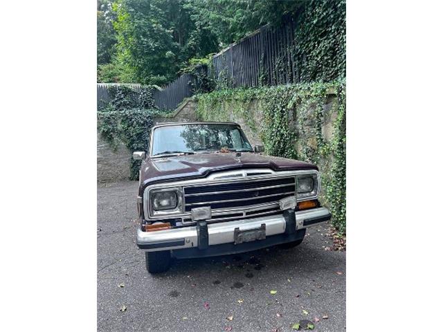 1988 Jeep Grand Wagoneer (CC-1890281) for sale in Cadillac, Michigan