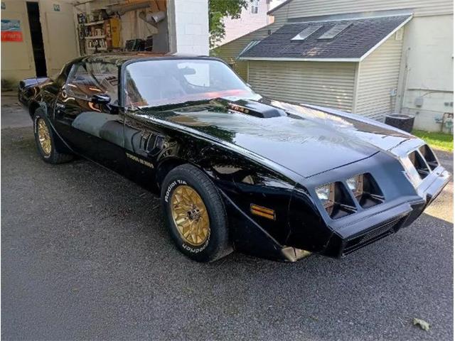 1980 Pontiac Firebird Trans Am (CC-1892910) for sale in Cadillac, Michigan