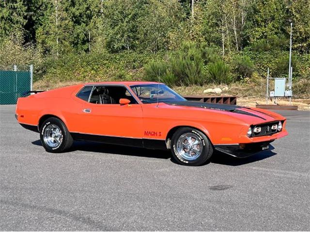 1971 Ford Mustang (CC-1892922) for sale in Cadillac, Michigan