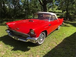 1957 Ford Thunderbird (CC-1892924) for sale in Cadillac, Michigan