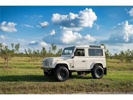 1994 Land Rover Defender (CC-1893059) for sale in Aiken, South Carolina