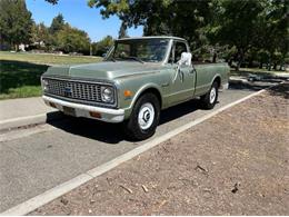 1971 Chevrolet C20 (CC-1890031) for sale in Cadillac, Michigan