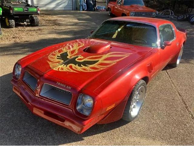 1976 Pontiac Firebird Trans Am (CC-1893237) for sale in Cadillac, Michigan