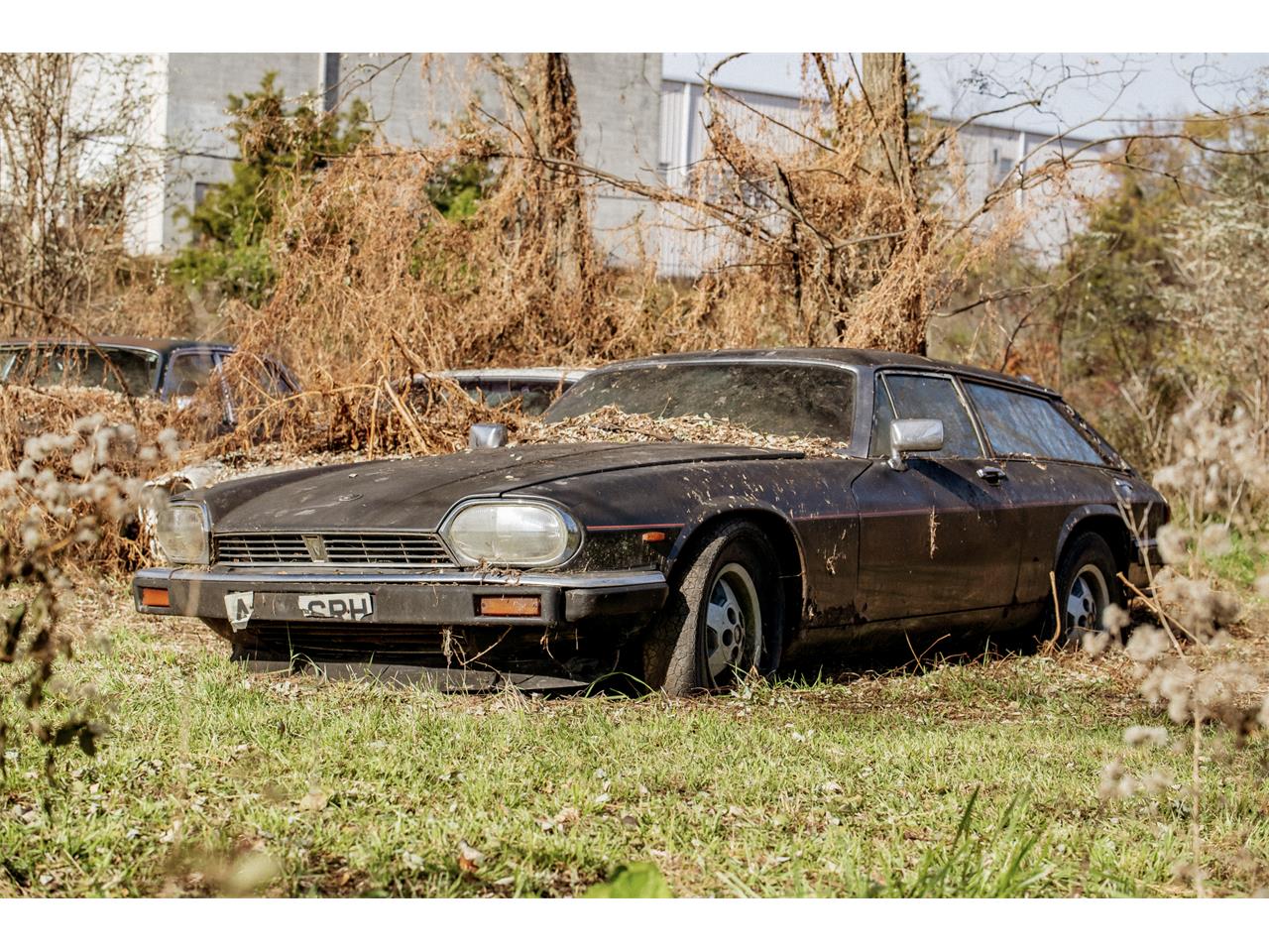1983 Jaguar XJS for Sale CC1893437