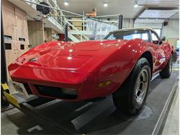 1974 Chevrolet Corvette (CC-1893700) for sale in Volo, Illinois