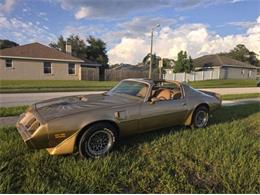 1979 Pontiac Firebird Trans Am (CC-1893736) for sale in Cadillac, Michigan