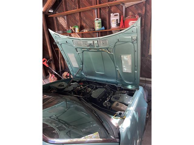 1980 Triumph TR8 (CC-1893920) for sale in Washington, District Of Columbia