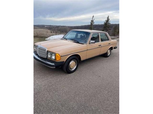 1978 Mercedes-Benz 240D (CC-1894010) for sale in Cadillac, Michigan