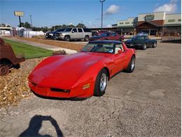 1980 Chevrolet Corvette (CC-1890438) for sale in Fredericksburg, Texas