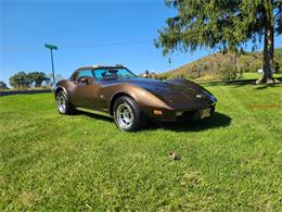 1978 Chevrolet Corvette (CC-1894496) for sale in martinsburg, Pennsylvania