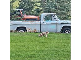 1968 Dodge D150 (CC-1895030) for sale in Cadillac, Michigan