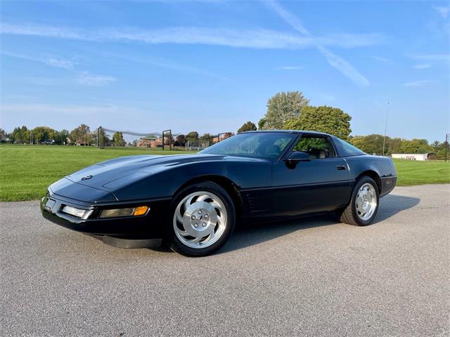 1995 Chevrolet Corvette (CC-1895127) for sale in Hilton, New York