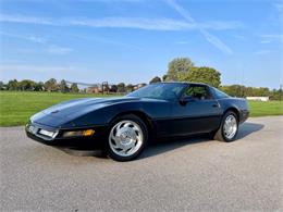 1995 Chevrolet Corvette (CC-1895127) for sale in Hilton, New York