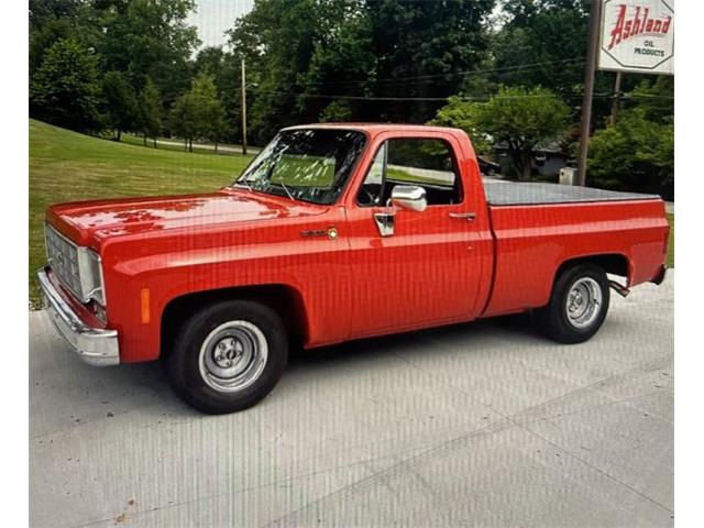 1977 Chevrolet Scottsdale (CC-1895297) for sale in Cadillac, Michigan