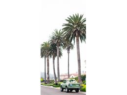1973 Ford Bronco (CC-1890544) for sale in Manhattan Beach, California