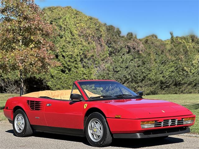 1986 Ferrari Mondial (CC-1895517) for sale in southampton, New York