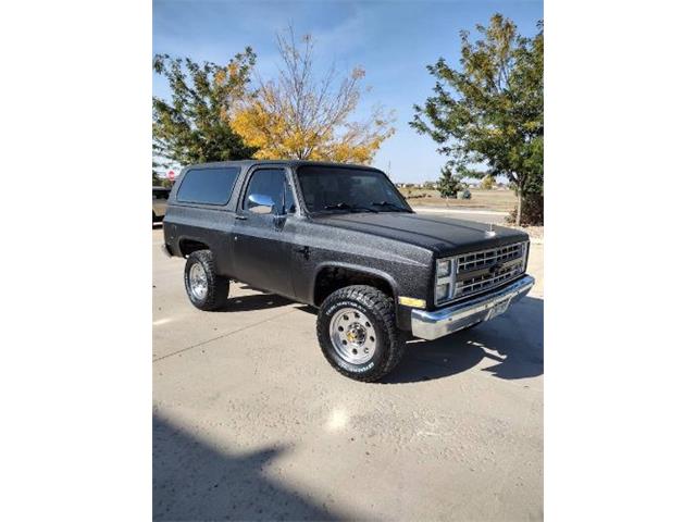 1986 Chevrolet Blazer (CC-1895637) for sale in Cadillac, Michigan