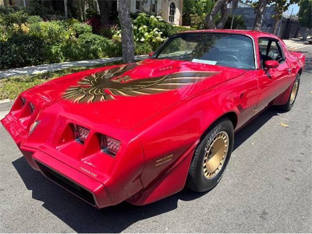 1980 Pontiac Firebird Trans Am (CC-1895650) for sale in Cadillac, Michigan