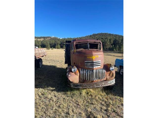 1946 Chevrolet COE (CC-1895655) for sale in Cadillac, Michigan