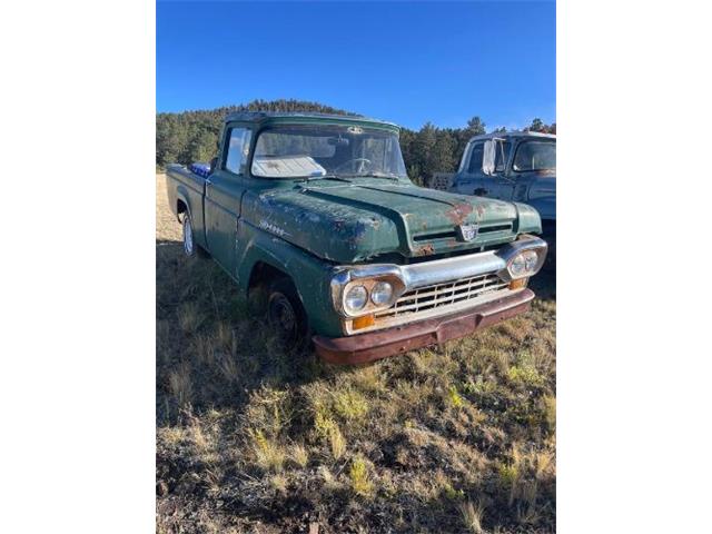 1959 Ford F100 (CC-1895665) for sale in Cadillac, Michigan