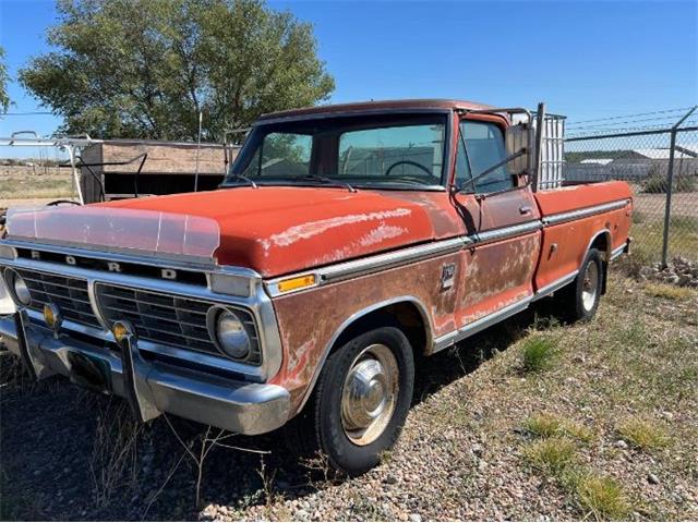 1974 Ford F250 (CC-1895960) for sale in Cadillac, Michigan