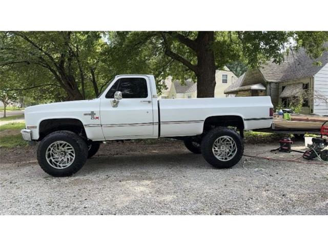 1981 Chevrolet K-20 (CC-1895965) for sale in Cadillac, Michigan