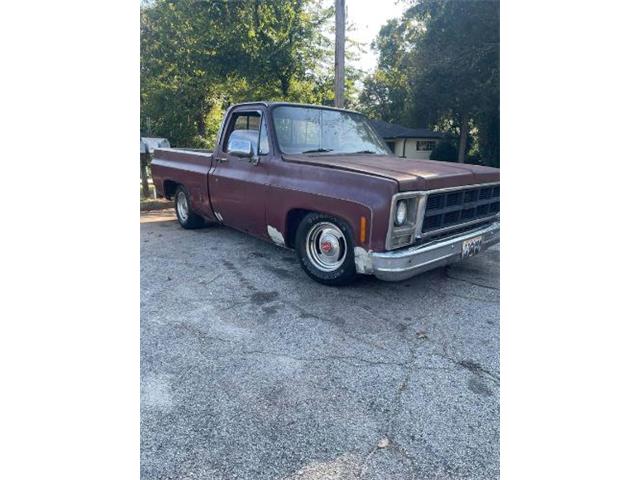 1979 Chevrolet C10 (CC-1895973) for sale in Cadillac, Michigan