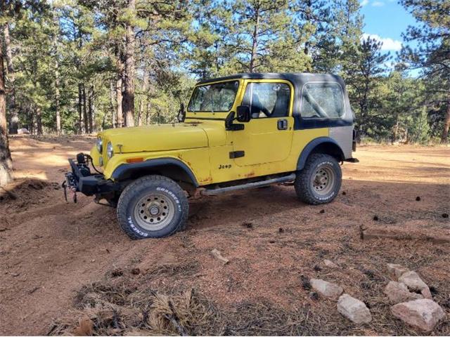 1978 Jeep CJ7 (CC-1895983) for sale in Cadillac, Michigan